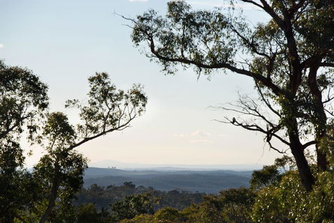 Barwidgee - New South Wales Tourism  2