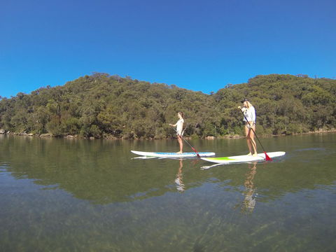 Basin Ku-ring-gai Campsite Set Up - New South Wales Tourism  3