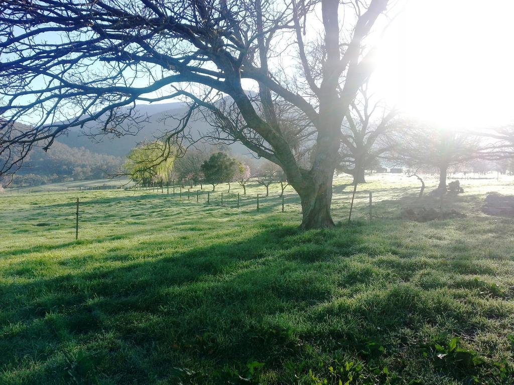 Lucyvale VIC New South Wales Tourism 