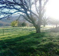 Bay Creek Guest House - New South Wales Tourism 