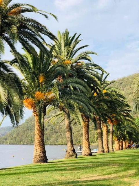 Riva On The Hawkesbury - New South Wales Tourism  0