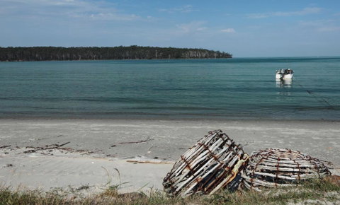 Rock Lobster - New South Wales Tourism  2