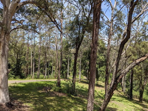 Romantic Cabin Escapes Barrington Tops - Lorikeet - New South Wales Tourism  1