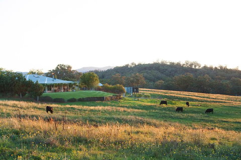 Rosby Guesthouse And Studio - New South Wales Tourism  0