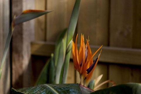 Rose Cottage - New South Wales Tourism  1