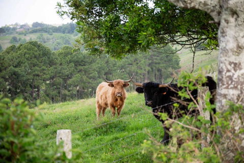 Rosewood Tiny Home By Tiny Away - New South Wales Tourism  2