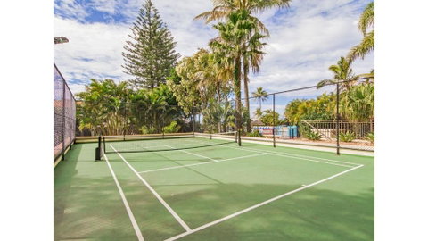 Royal Palm 19 - New South Wales Tourism  3