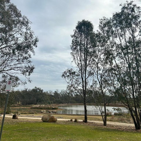 Rutherglen Holiday Park - New South Wales Tourism  0