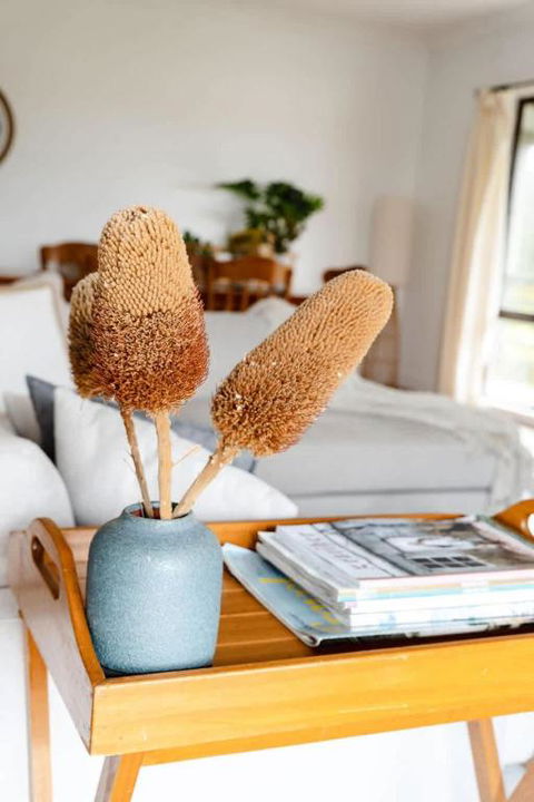 Salt Bush Cottage Peterborough - New South Wales Tourism  1