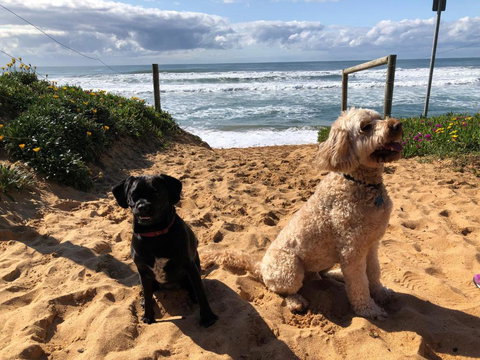 Sanctuary Retreat - New South Wales Tourism  2