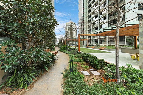 Sakura Apartment - New South Wales Tourism  3