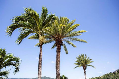 STAR VIEW 9, POOL, WIFI, SLEEP 4, BEST VIEWS IN AIRLIE - New South Wales Tourism  3
