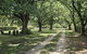The Avenue Anahdale - Hidden 2.7 Acre Estate In Town - thumb 3