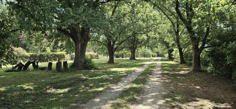 The Avenue Anahdale - Hidden 2.7 Acre Estate In Town - New South Wales Tourism  3