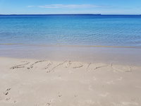 Beachside Husky - Waterfront