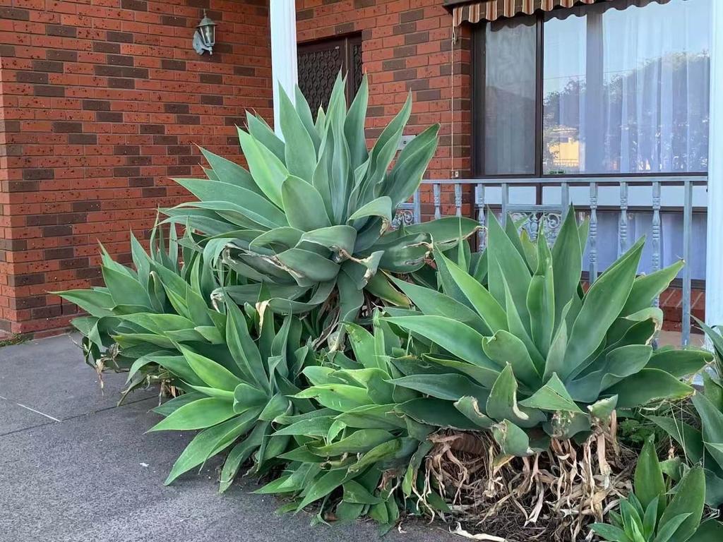 Bentleigh East VIC New South Wales Tourism 
