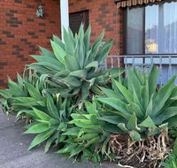 Beautiful Bedroom in Bentleigh East - New South Wales Tourism 