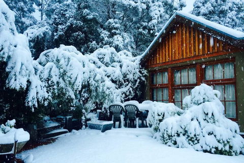 BEAUTIFUL RETREAT - 20 Mins To CBD And Only 10 Mins To MONA! - New South Wales Tourism  0