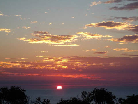 Benji's By The Sea - New South Wales Tourism  1