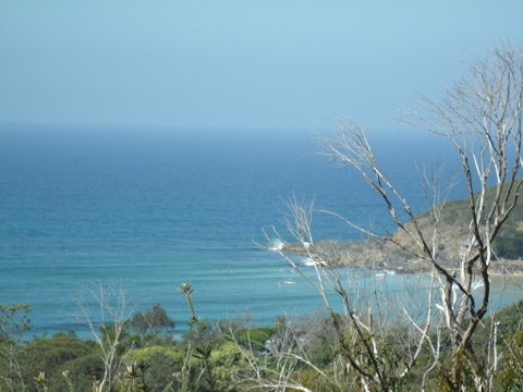 Benji's By The Sea - New South Wales Tourism  0