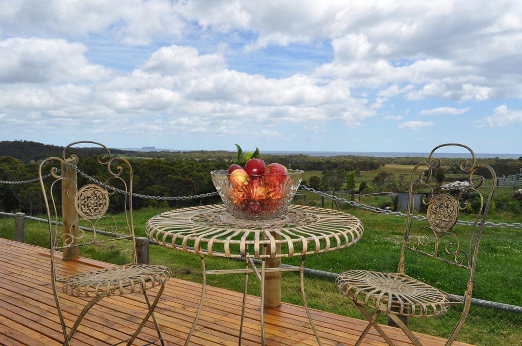 Rocky Cape TAS New South Wales Tourism