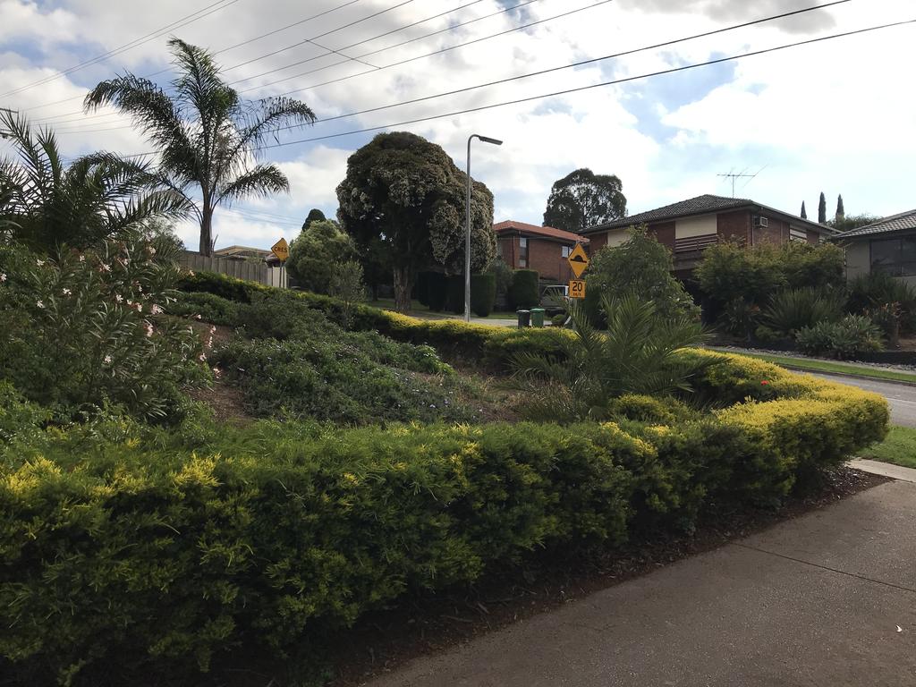 Watsonia VIC New South Wales Tourism 