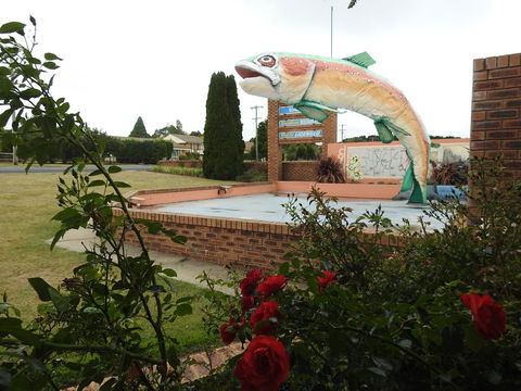 Big Trout Motel - New South Wales Tourism  0