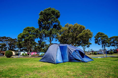 BIG4 Traralgon Park Lane Holiday Park - New South Wales Tourism  2