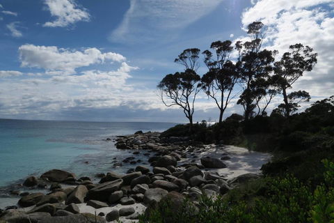 Binalong Bay Beach Shack - New South Wales Tourism  0