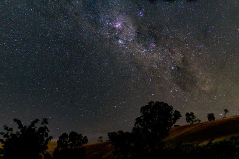 Blickinstal Barossa Valley Retreat - New South Wales Tourism  1