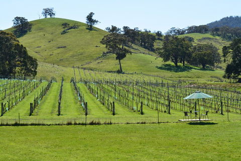 Blue House At Mountainside Wines - New South Wales Tourism  0