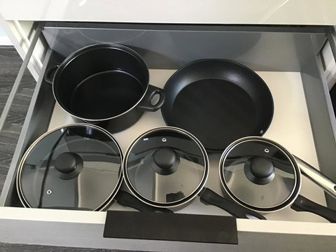 Blue Jay - New South Wales Tourism  2