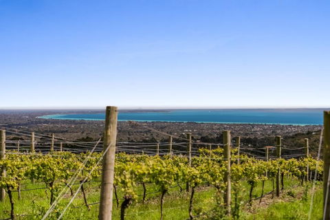 Blue Range Estate Villas - New South Wales Tourism  3