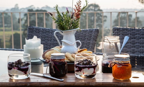 Blueberry Hills On Comleroy - New South Wales Tourism  2