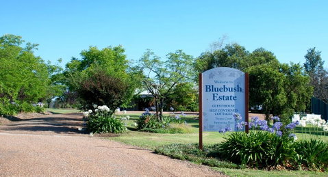 Bluebush Estate - New South Wales Tourism  0