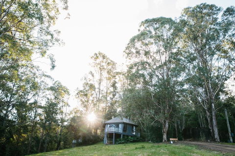 Bluegums Cabins - New South Wales Tourism  0