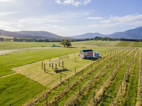 Warburton Tiny House - Tiny Stays - New South Wales Tourism  2