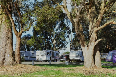 Woodmans Hill Motel - New South Wales Tourism  2