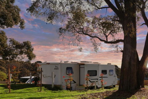 Woodmans Hill Motel - New South Wales Tourism  3
