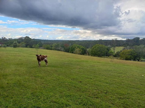 Maison De Lavande Farmstay - New South Wales Tourism  1