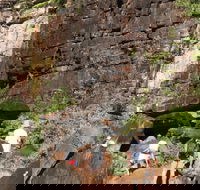 3-Day Kakadu 4WD Camping Safari from Darwin - New South Wales Tourism 