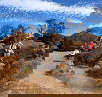 The Big Wave Rock Private Day Tour - New South Wales Tourism 