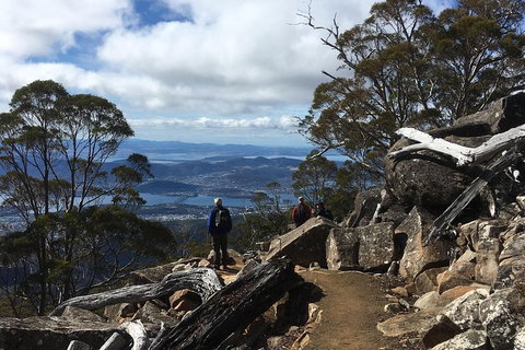 Kunanyi / Mt Wellington Explorer Bus - 2 Hour Return Tour - New South Wales Tourism  0