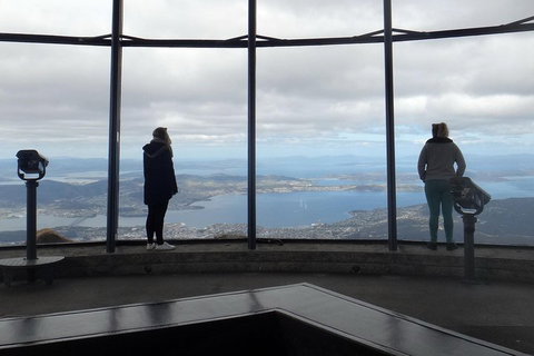 Kunanyi / Mt Wellington Explorer Bus - 2 Hour Return Tour - New South Wales Tourism  1