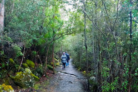 Kunanyi / Mt Wellington Explorer Bus - 2 Hour Return Tour - New South Wales Tourism  2
