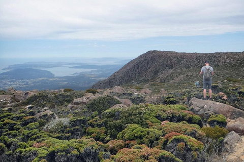 Kunanyi / Mt Wellington Explorer Bus - 2 Hour Return Tour - New South Wales Tourism  3