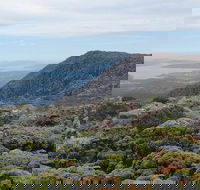 kunanyi/Mt Wellington Explorer Bus - One Way Tour - New South Wales Tourism 