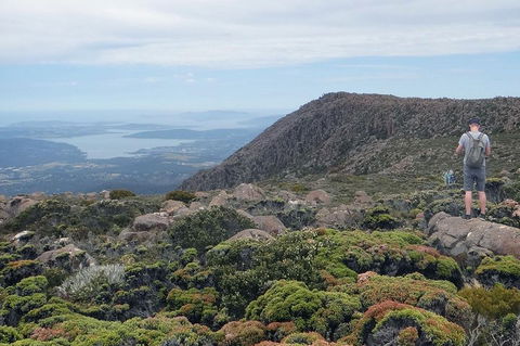 Kunanyi/Mt Wellington Explorer Bus - One Way Tour - New South Wales Tourism  0