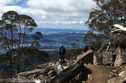 Kunanyi/Mt Wellington Explorer Bus - One Way Tour - New South Wales Tourism  2