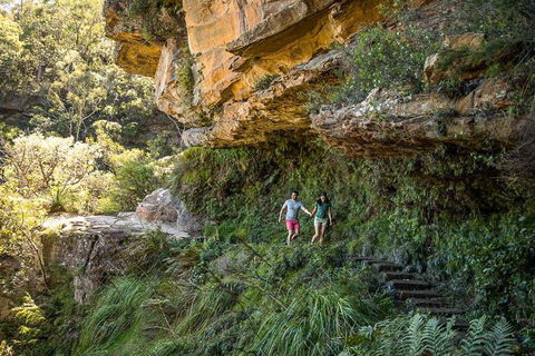 Private Guided: Blue Mountains Hiking & Nature Tour - New South Wales Tourism  2